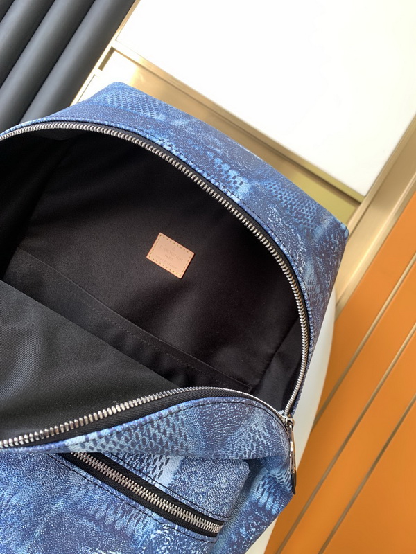 LV Backpack(AAA)-090