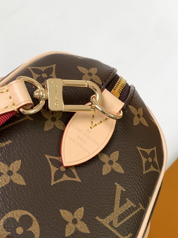 LV Handbags AAA(Women)-437