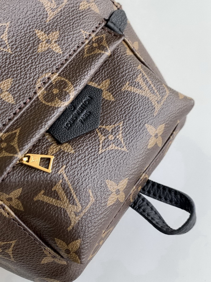 LV Backpack(AAA)-143
