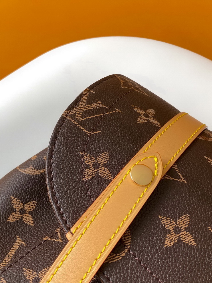 LV Backpack(AAA)-197
