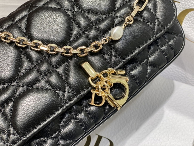 D*or handbags aaa(women)-169