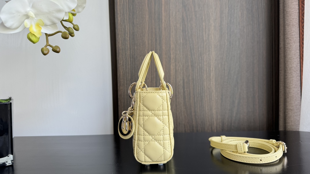 D*or handbags aaa(women)-630