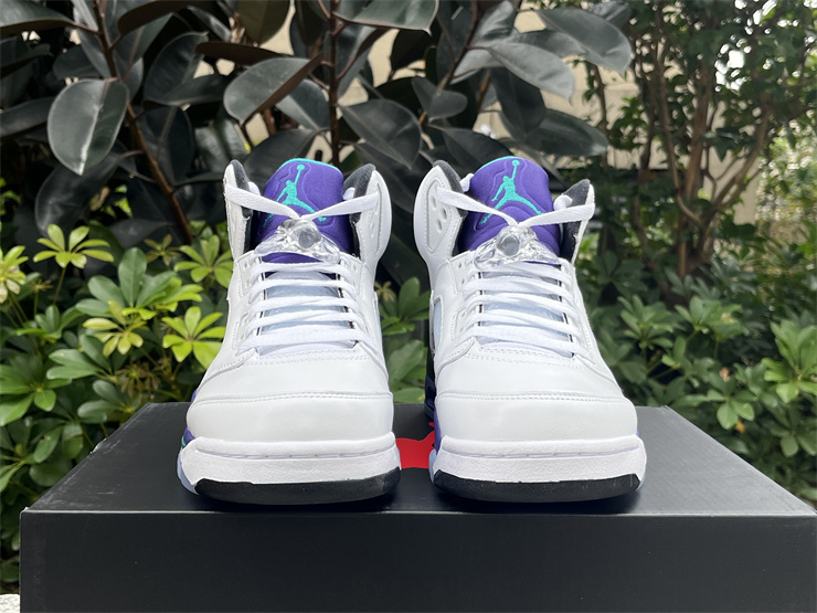 Air Jordan 5 Retro Grape
