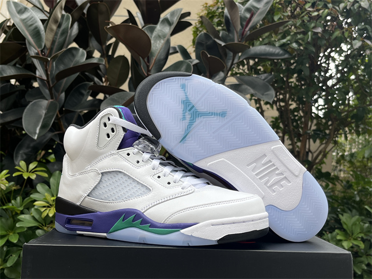 Air Jordan 5 Retro Grape
