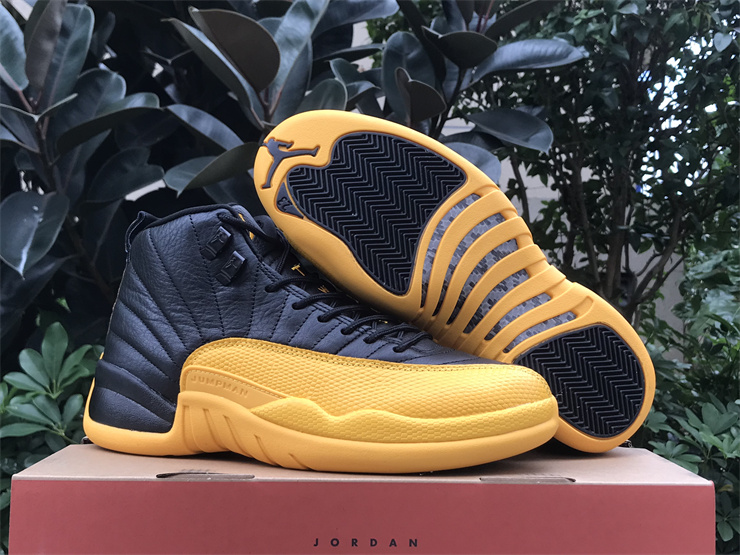 Air Jordan 12 University Gold