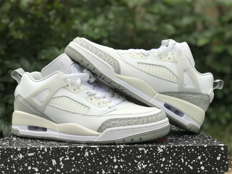 Air Jordan Spizike Low-001