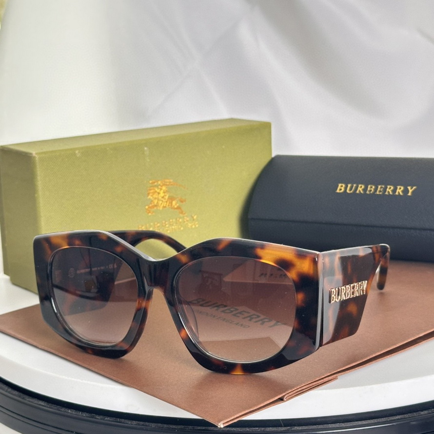 B**rry sunglasses(aaaa)-1160