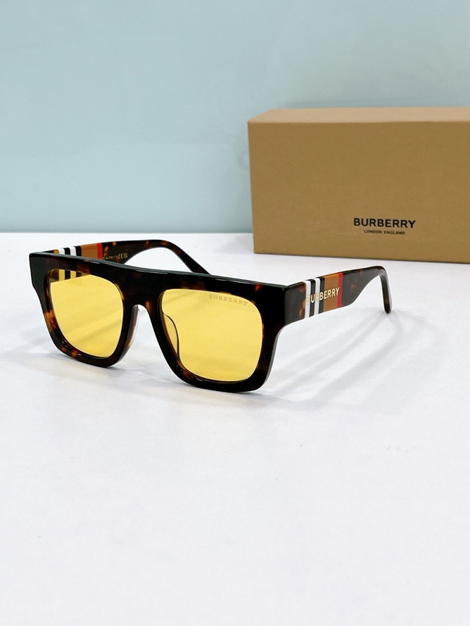 B**rry sunglasses(aaaa)-1156