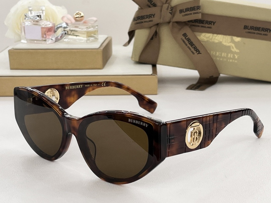 B**rry sunglasses(aaaa)-1134