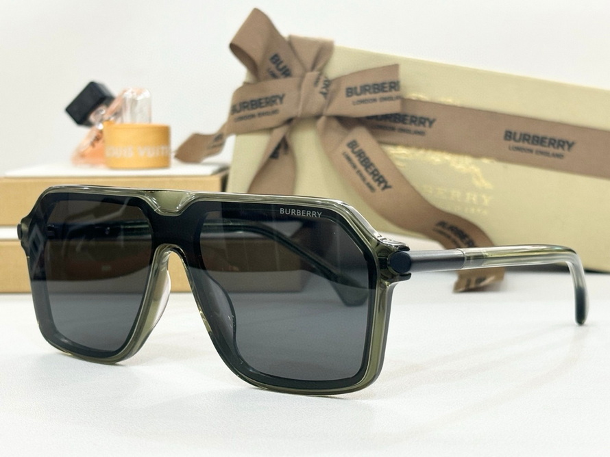 B**rry sunglasses(aaaa)-1132