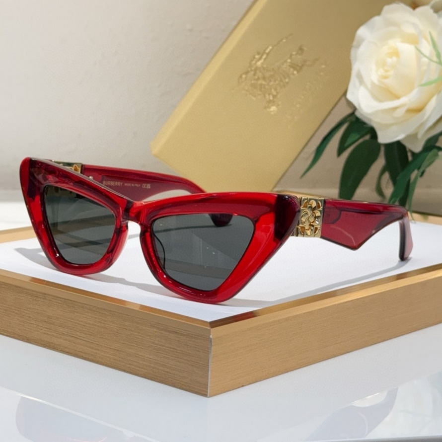 B**rry sunglasses(aaaa)-1124