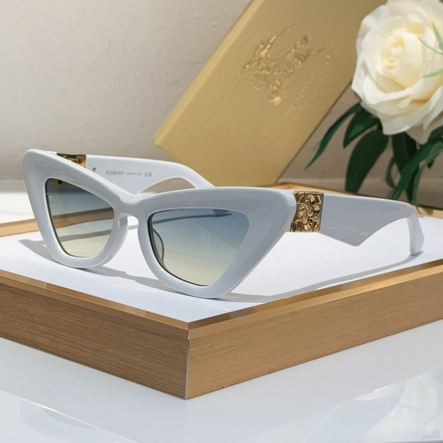 B**rry sunglasses(aaaa)-1122