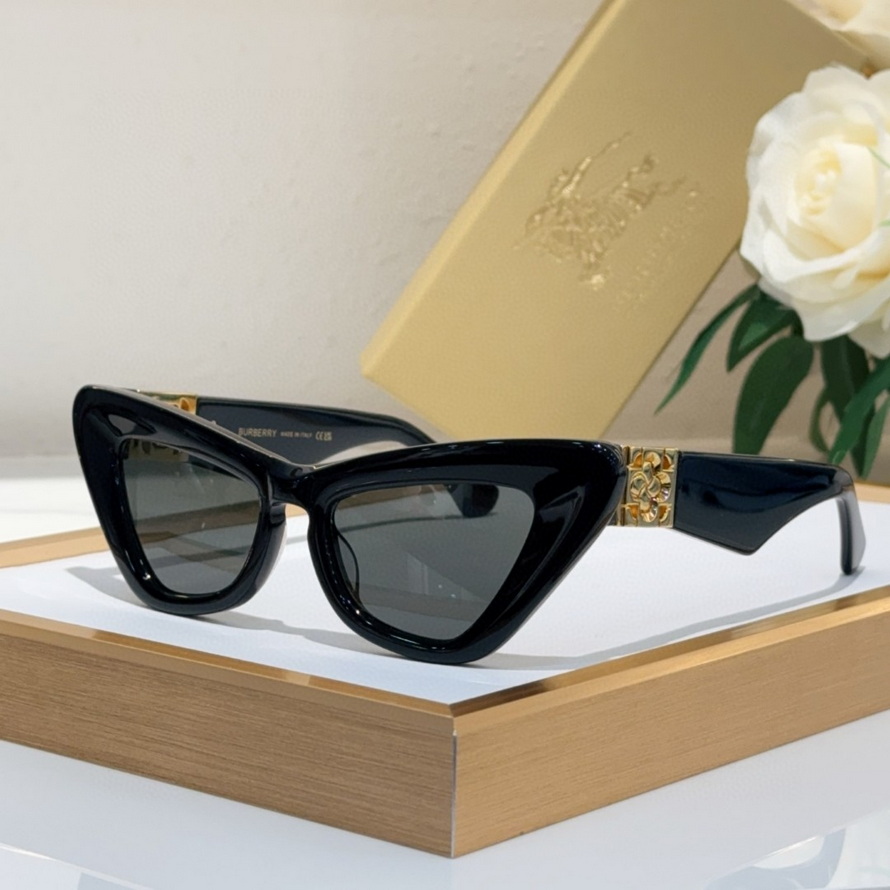 B**rry sunglasses(aaaa)-1121