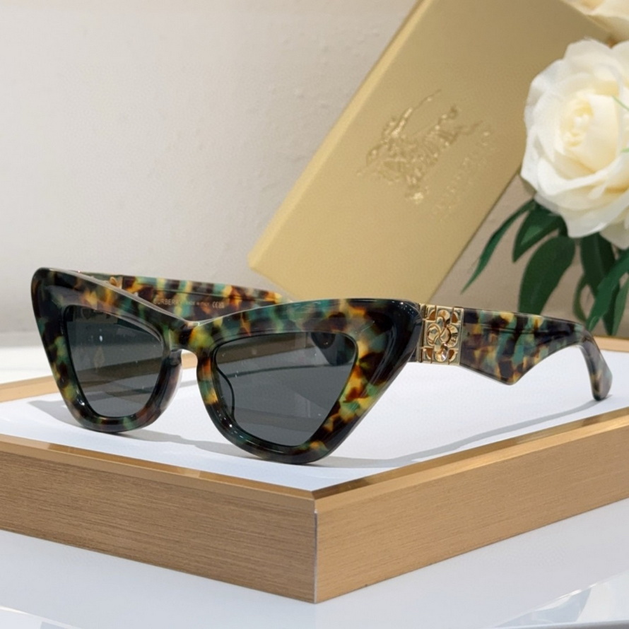 B**rry sunglasses(aaaa)-1119