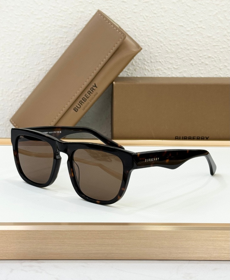 B**rry sunglasses(aaaa)-1098