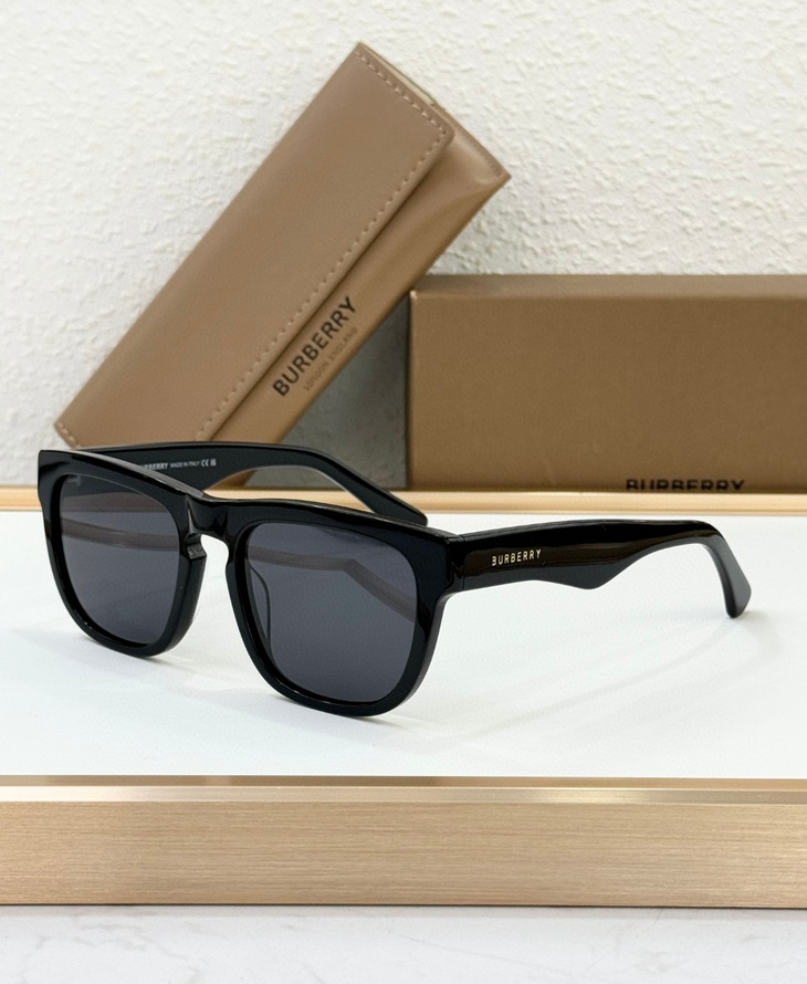 B**rry sunglasses(aaaa)-1099