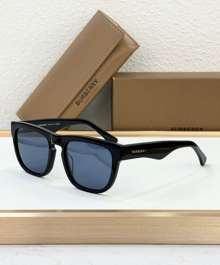 B**rry sunglasses(aaaa)-1097