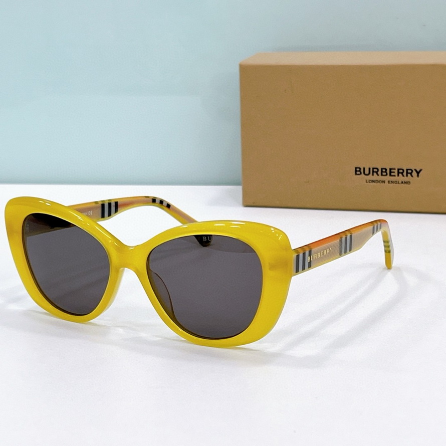 B**rry sunglasses(aaaa)-1058