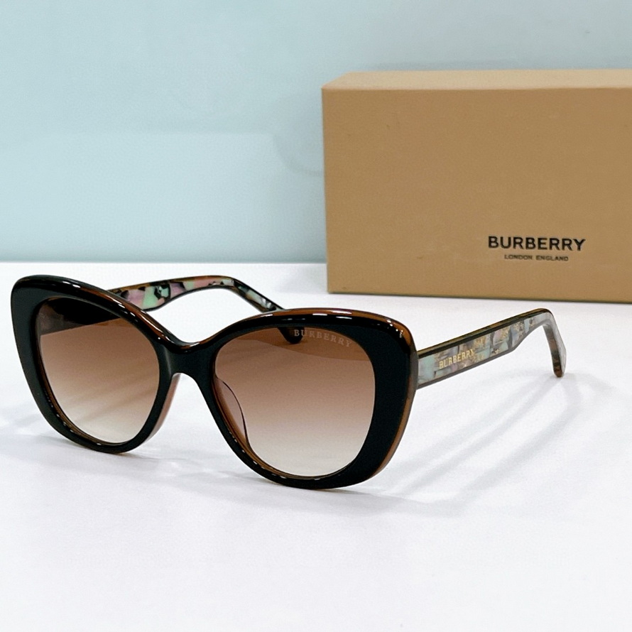 B**rry sunglasses(aaaa)-1056