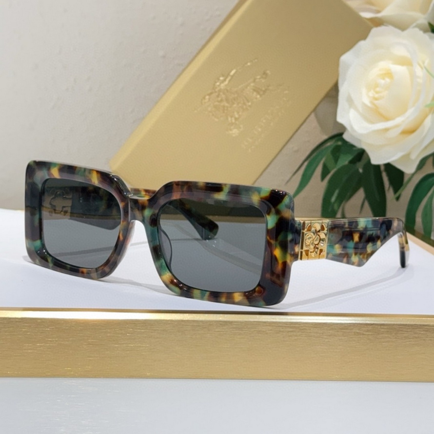 B**rry sunglasses(aaaa)-1055