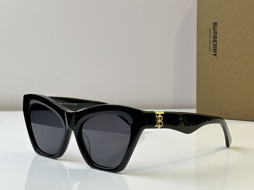 B**rry sunglasses(aaaa)-1033