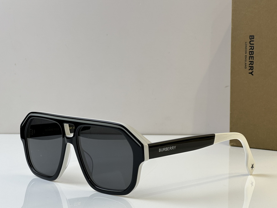 B**rry sunglasses(aaaa)-1028