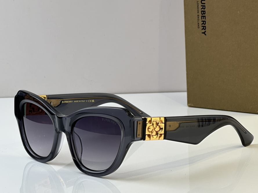B**rry sunglasses(aaaa)-1008