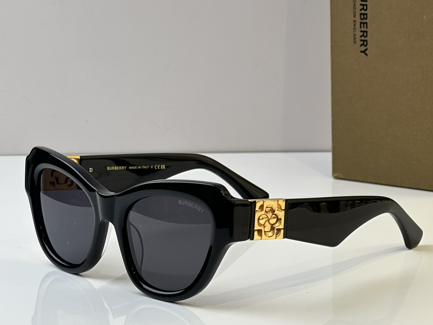 B**rry sunglasses(aaaa)-1006