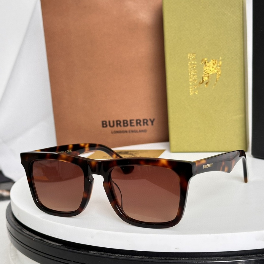 B**rry sunglasses(aaaa)-981