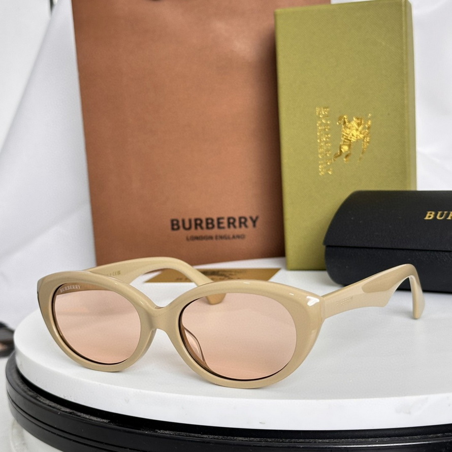 B**rry sunglasses(aaaa)-976