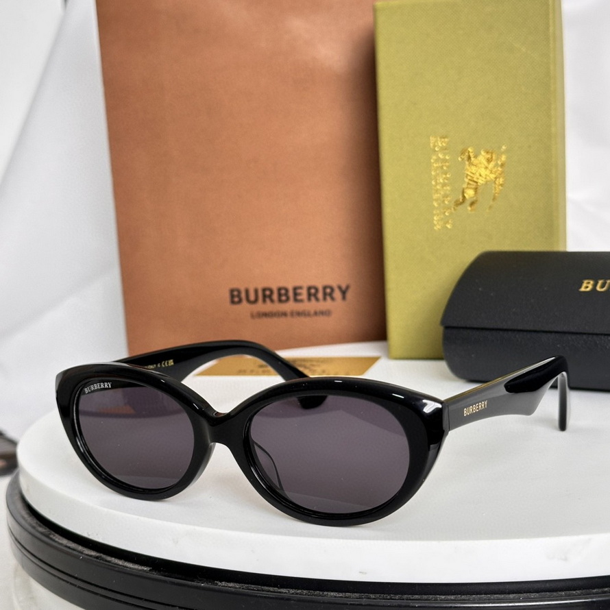 B**rry sunglasses(aaaa)-975