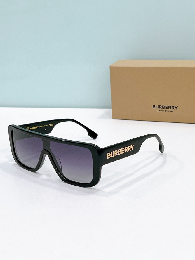 B**rry sunglasses(aaaa)-967
