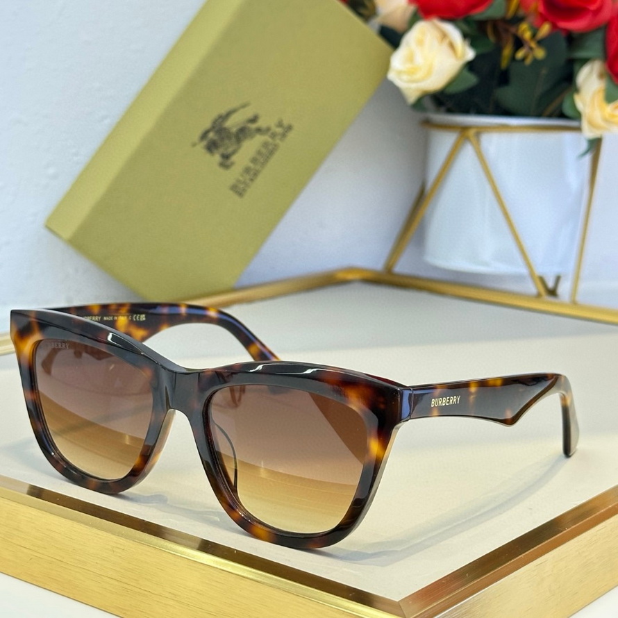 B**rry sunglasses(aaaa)-950