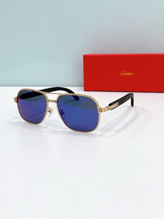 Ca*t*er sunglasses(aaaa)-1737