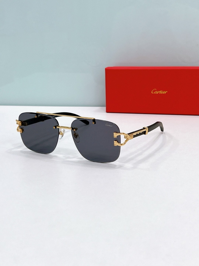 Ca*t*er sunglasses(aaaa)-1676