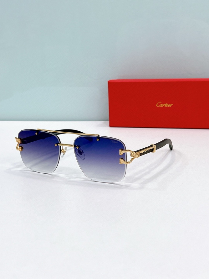 Ca*t*er sunglasses(aaaa)-1675