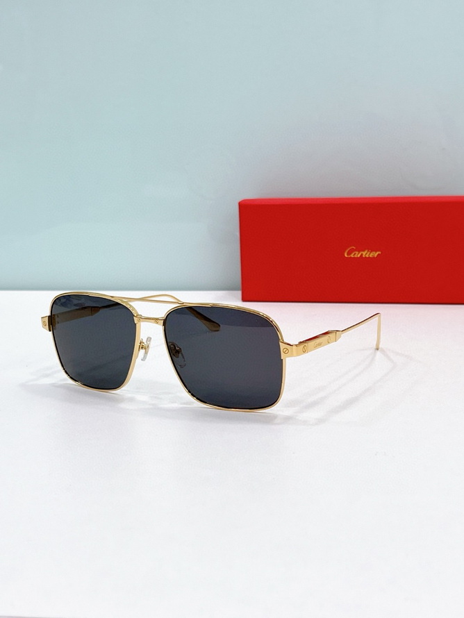 Ca*t*er sunglasses(aaaa)-1469