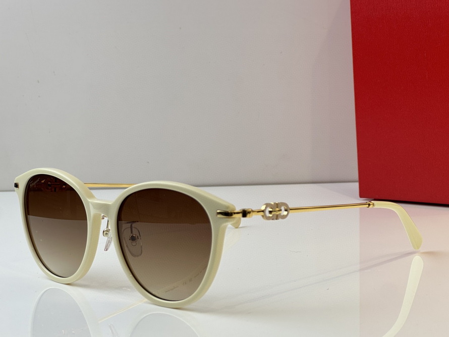 FERRAGAMO Sunglasses(AAAA)-322