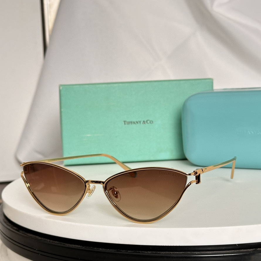 T*f*ny&co. sunglasses(aaaa)-675