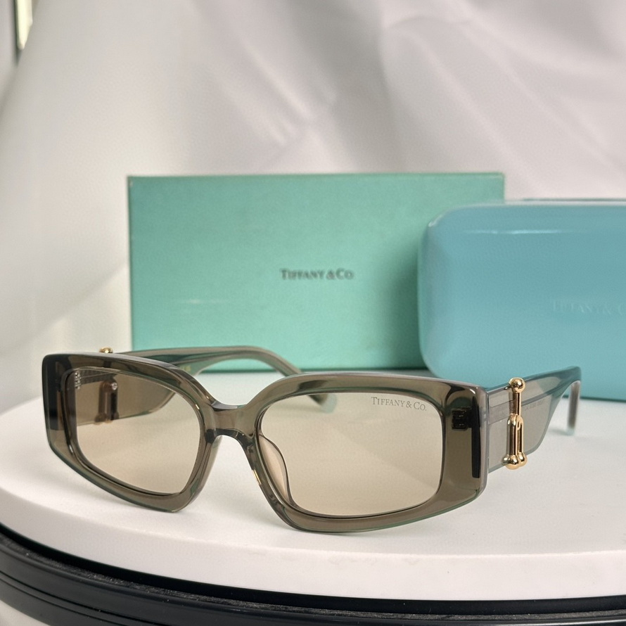 T*f*ny&co. sunglasses(aaaa)-604