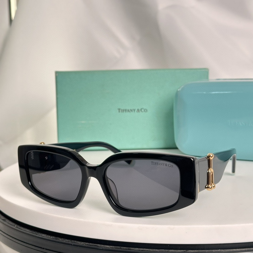 T*f*ny&co. sunglasses(aaaa)-603