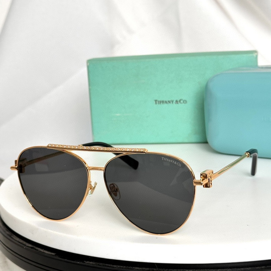 T*f*ny&co. sunglasses(aaaa)-507