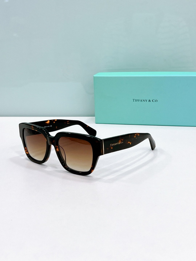 T*f*ny&co. sunglasses(aaaa)-501