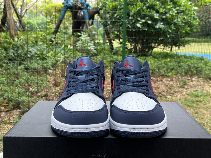 Air Jordan 1 Low-318