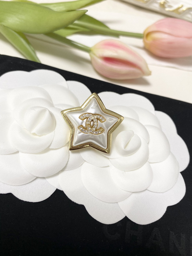 Ch*el brooch-072