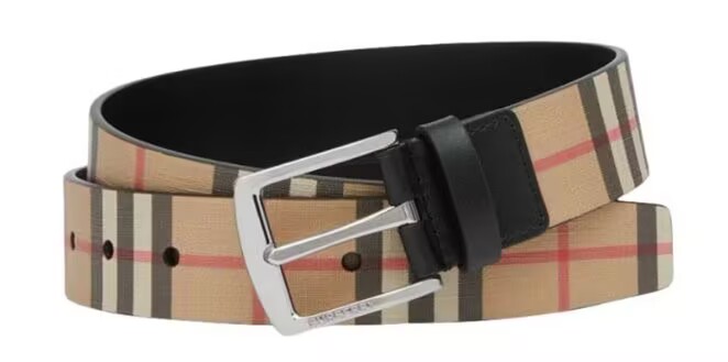 B**rry belts(aaaaa)-134