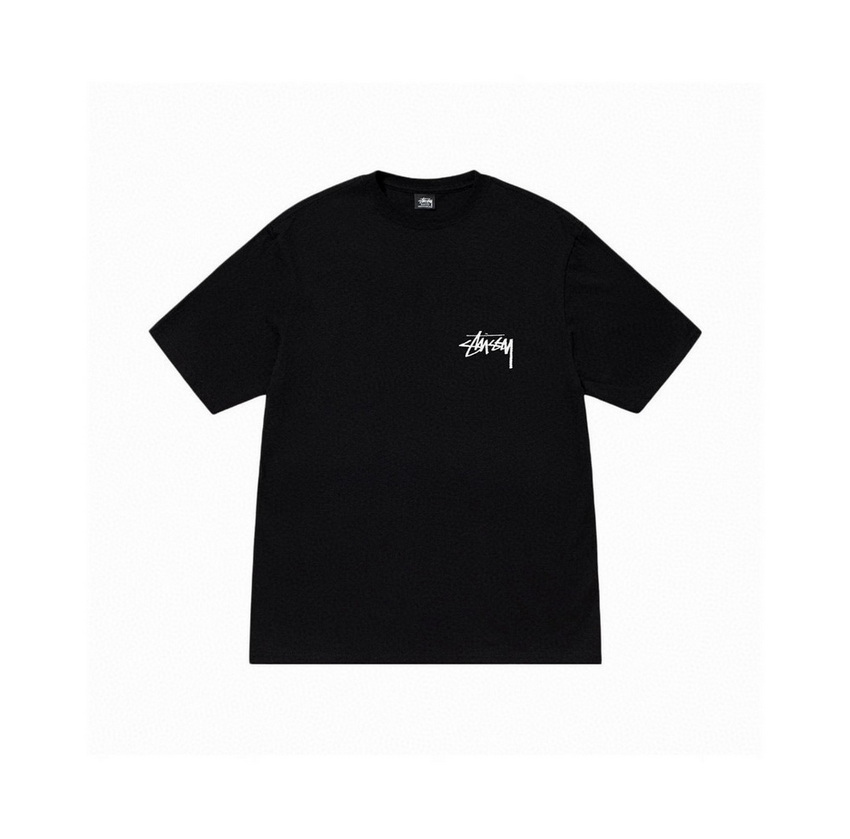 Stussy T-shirts-081