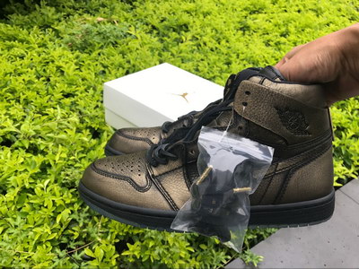 Air Jordan 1 “Wings“