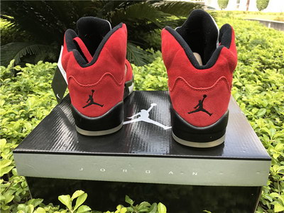 Air Jordan 5 Raging Bulls
