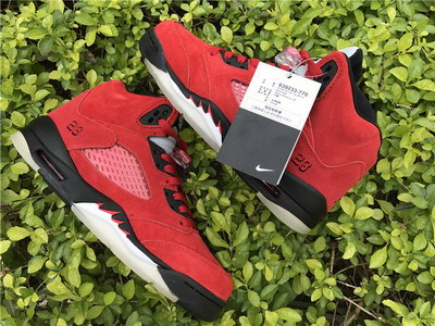 Air Jordan 5 Raging Bulls